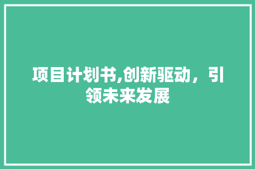 项目计划书,创新驱动，引领未来发展