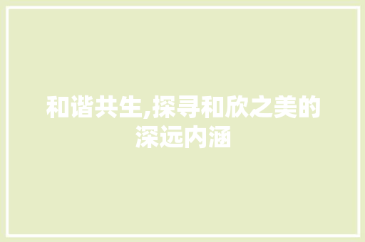 和谐共生,探寻和欣之美的深远内涵