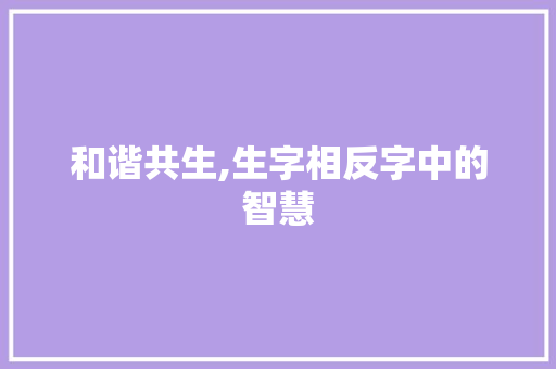 和谐共生,生字相反字中的智慧