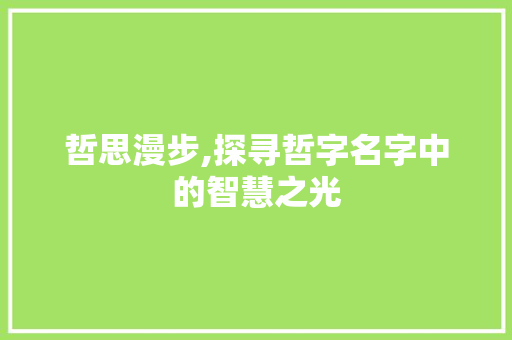 哲思漫步,探寻哲字名字中的智慧之光