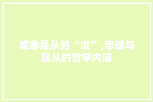 唯命是从的“唯”,忠诚与服从的哲学内涵 工作总结