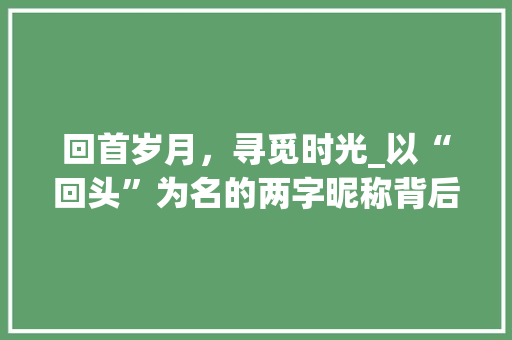 回首岁月，寻觅时光_以“回头”为名的两字昵称背后的故事 演讲稿