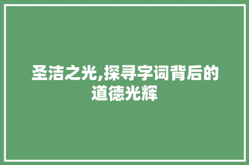圣洁之光,探寻字词背后的道德光辉