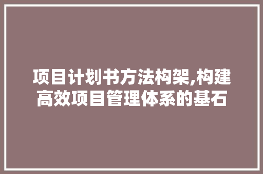 项目计划书方法构架,构建高效项目管理体系的基石