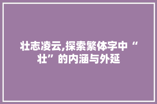 壮志凌云,探索繁体字中“壮”的内涵与外延