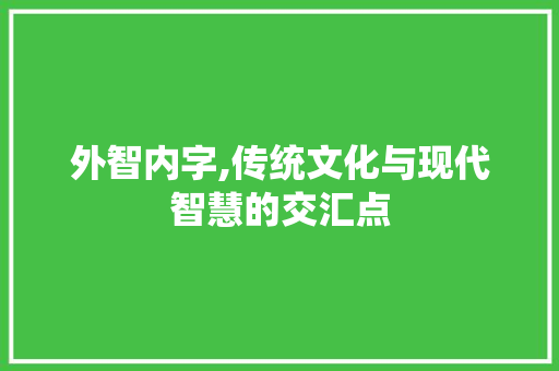 外智内字,传统文化与现代智慧的交汇点 工作总结
