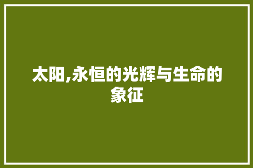 太阳,永恒的光辉与生命的象征