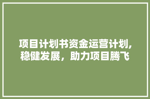 项目计划书资金运营计划,稳健发展，助力项目腾飞