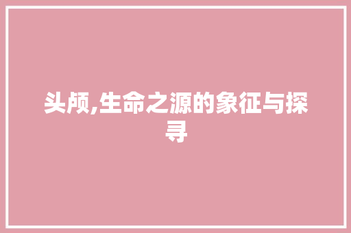 头颅,生命之源的象征与探寻