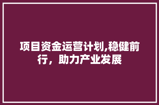 项目资金运营计划,稳健前行，助力产业发展