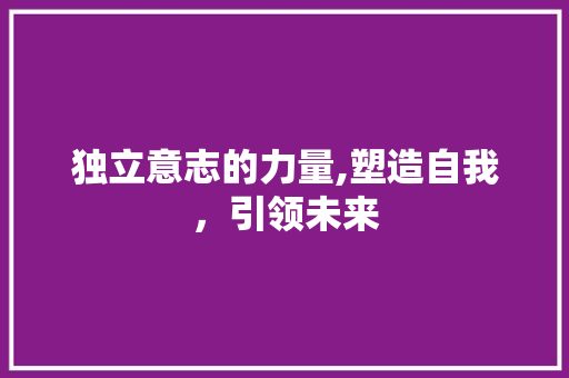 独立意志的力量,塑造自我，引领未来
