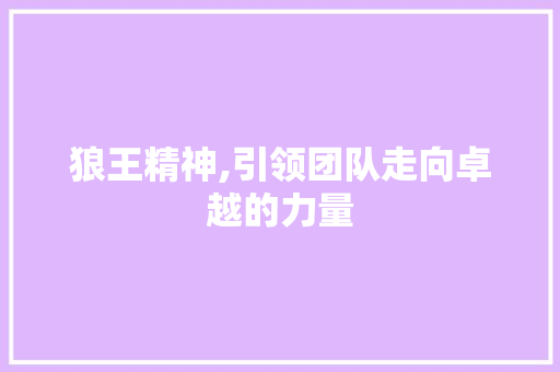 狼王精神,引领团队走向卓越的力量