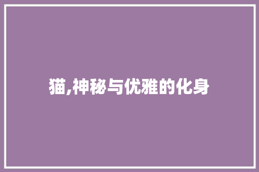 猫,神秘与优雅的化身