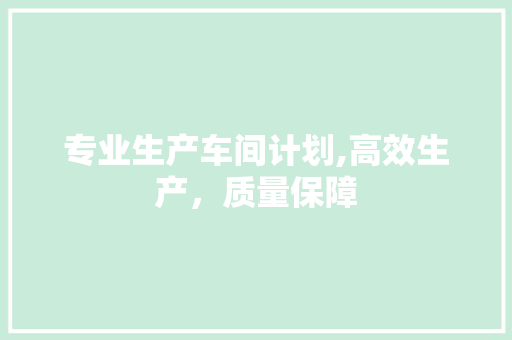 专业生产车间计划,高效生产，质量保障