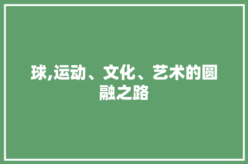 球,运动、文化、艺术的圆融之路