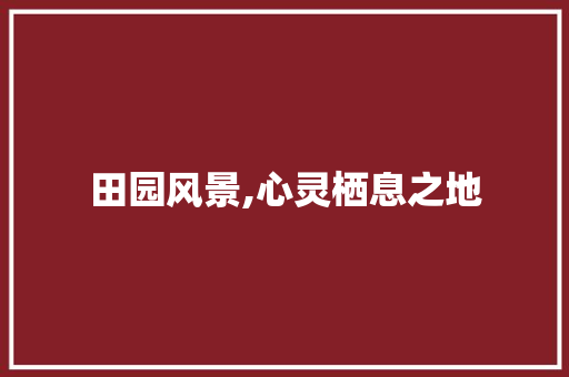 田园风景,心灵栖息之地