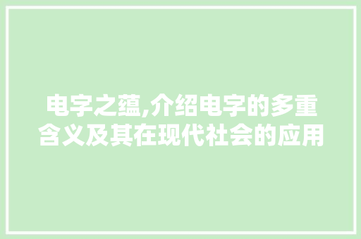 电字之蕴,介绍电字的多重含义及其在现代社会的应用