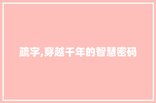 疏字,穿越千年的智慧密码 工作计划
