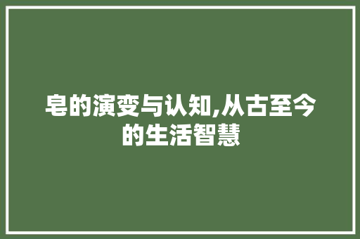 皂的演变与认知,从古至今的生活智慧