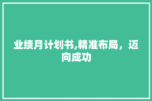 业绩月计划书,精准布局，迈向成功