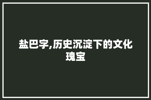 盐巴字,历史沉淀下的文化瑰宝 成语大全