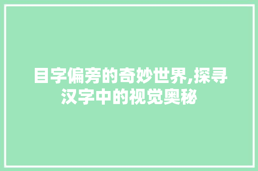 目字偏旁的奇妙世界,探寻汉字中的视觉奥秘