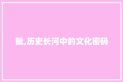 眦,历史长河中的文化密码