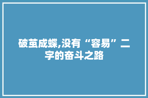 破茧成蝶,没有“容易”二字的奋斗之路