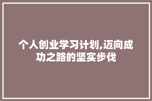 个人创业学习计划,迈向成功之路的坚实步伐