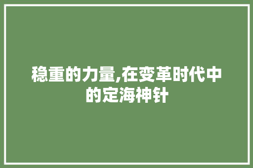 稳重的力量,在变革时代中的定海神针