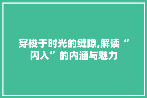 穿梭于时光的缝隙,解读“闪入”的内涵与魅力 合同范本