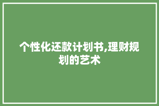 个性化还款计划书,理财规划的艺术