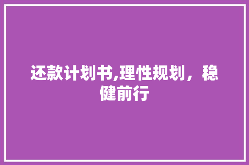 还款计划书,理性规划，稳健前行