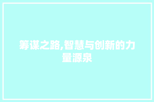 筹谋之路,智慧与创新的力量源泉