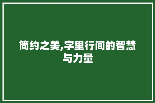 简约之美,字里行间的智慧与力量 个人简历
