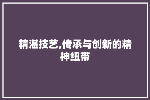 精湛技艺,传承与创新的精神纽带