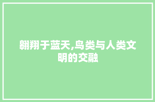 翱翔于蓝天,鸟类与人类文明的交融