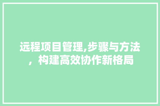 远程项目管理,步骤与方法，构建高效协作新格局