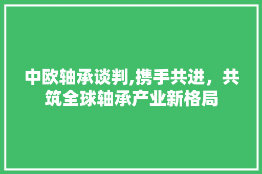 中欧轴承谈判,携手共进，共筑全球轴承产业新格局