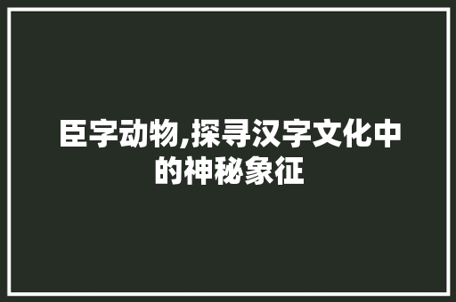 臣字动物,探寻汉字文化中的神秘象征