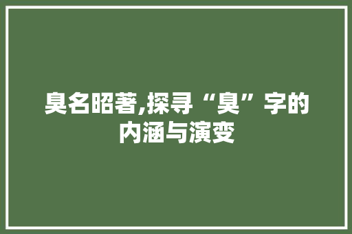 臭名昭著,探寻“臭”字的内涵与演变