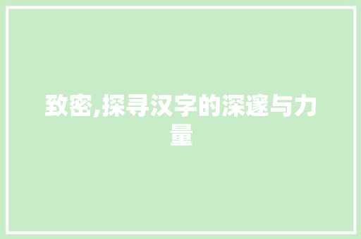 致密,探寻汉字的深邃与力量