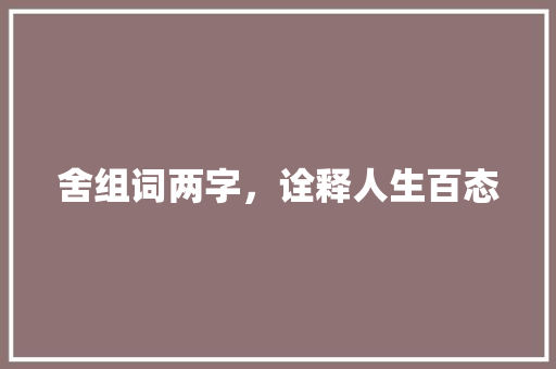 舍组词两字，诠释人生百态