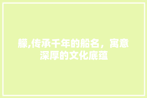 艨,传承千年的船名，寓意深厚的文化底蕴 工作计划