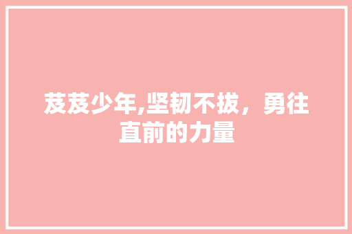 芨芨少年,坚韧不拔，勇往直前的力量
