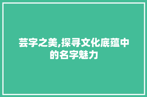 芸字之美,探寻文化底蕴中的名字魅力