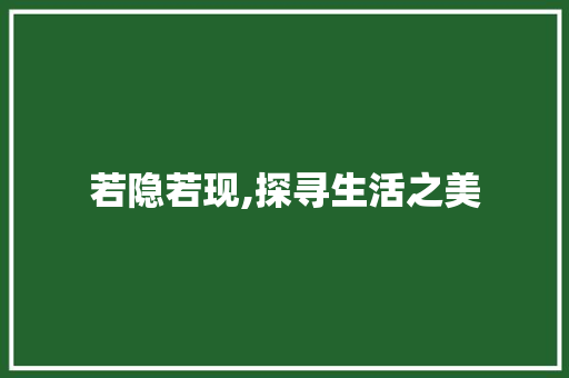 若隐若现,探寻生活之美