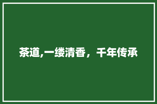 茶道,一缕清香，千年传承
