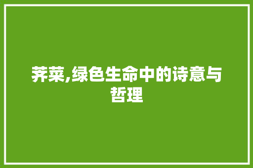 荠菜,绿色生命中的诗意与哲理