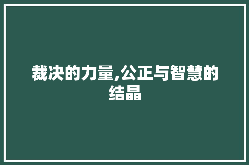 裁决的力量,公正与智慧的结晶 演讲稿